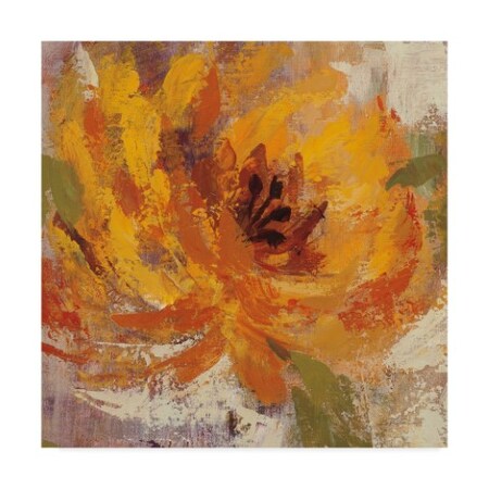 Trademark Fine Art Fiery Dahlias III by Silvia Vassileva, 24x24-Inch Fine Art, Multicolor